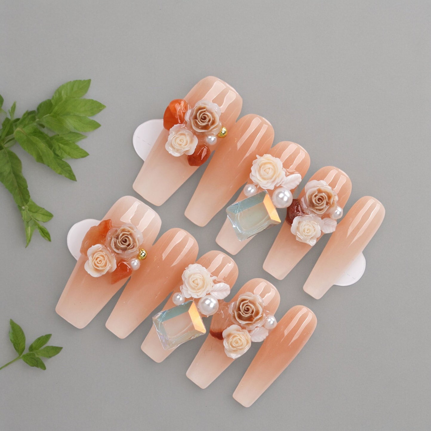 Peach Rose Dream