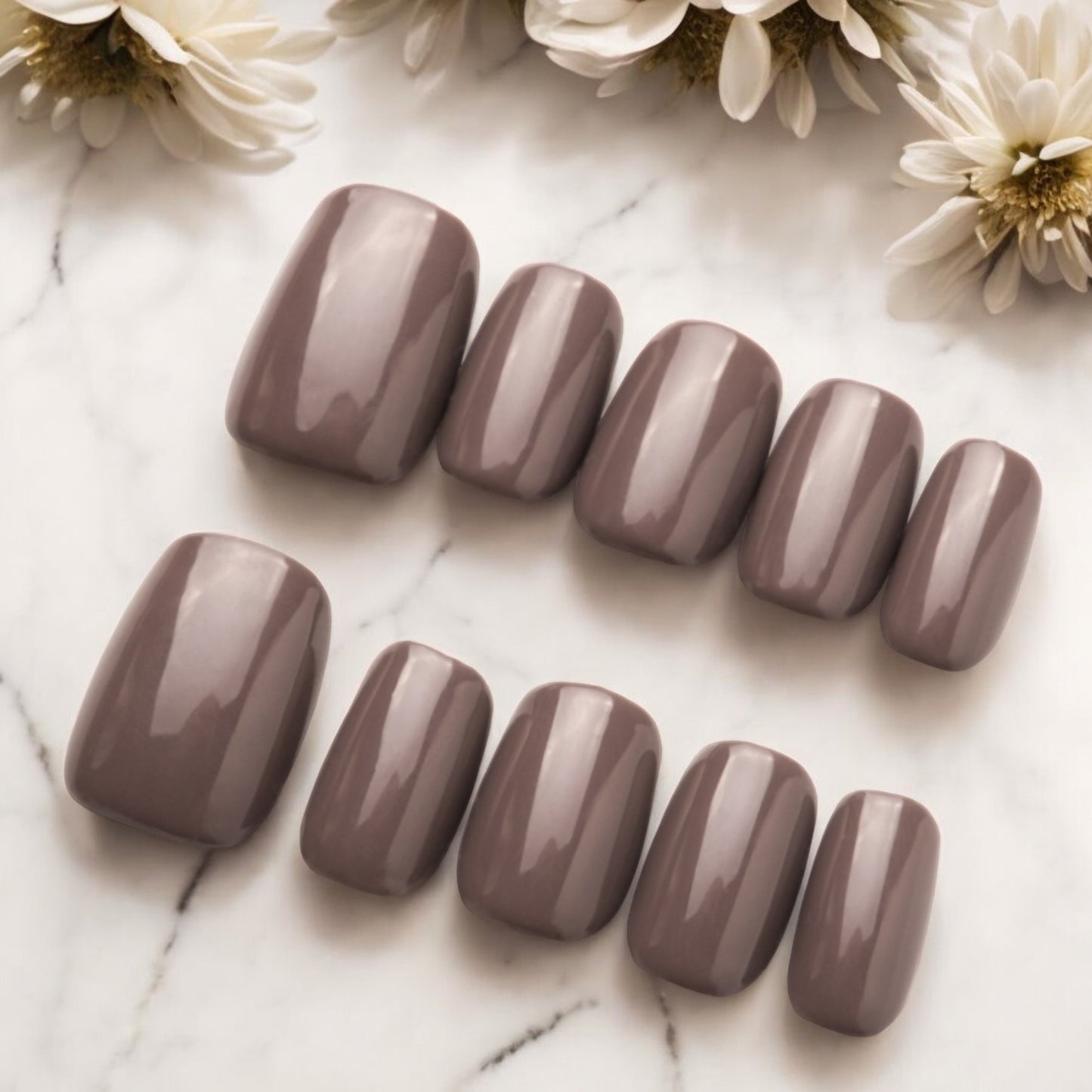 Modern Mauve