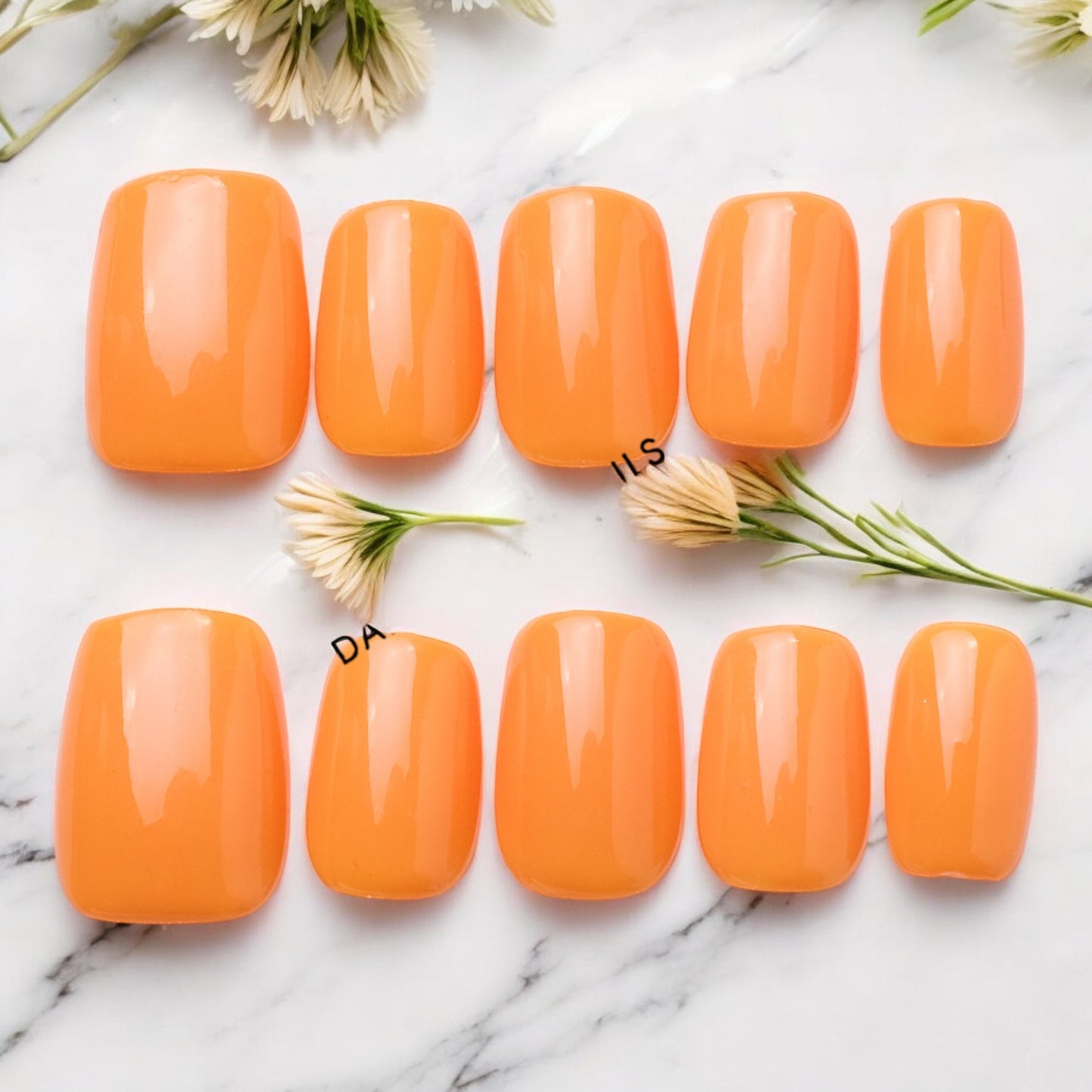 Orange Burst