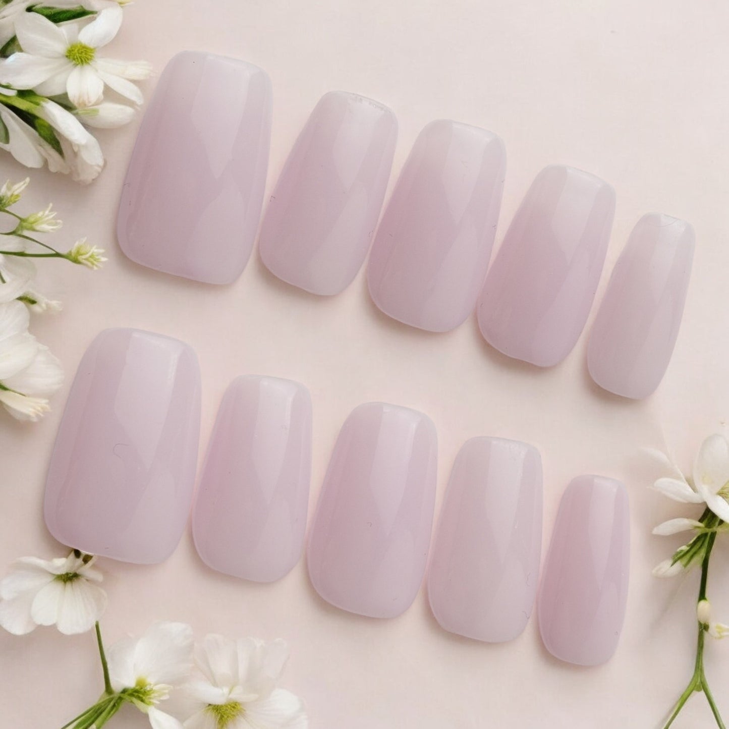 Sheer Blossom