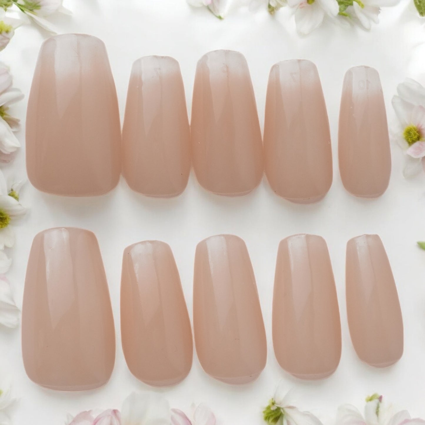 Nude Ombre